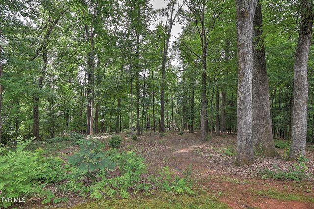 145 Zeb Grindstaff Road, Elizabethton, TN 37643