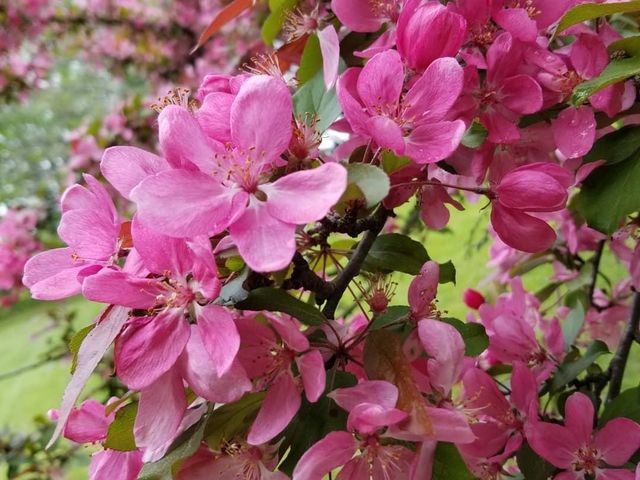 11 Bryant Lane, Enfield, NH 03748