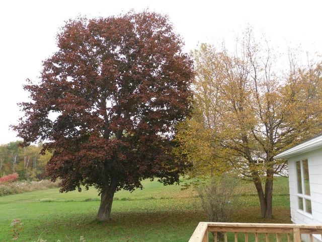 11 Bryant Lane, Enfield, NH 03748