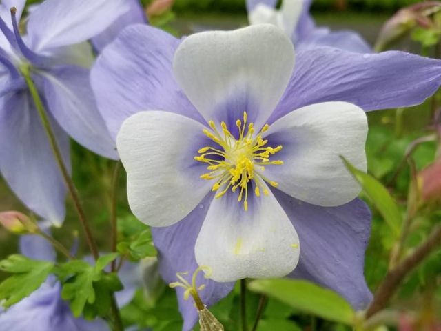 11 Bryant Lane, Enfield, NH 03748