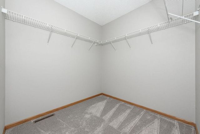 11780 Vermillion Street NE E, Blaine, MN 55449