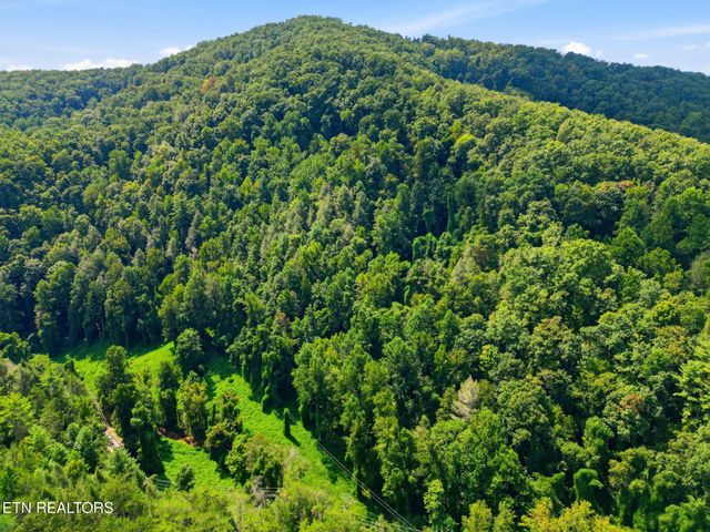 3910 Wilhite Rd, Sevierville, TN 37876