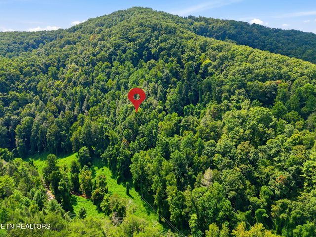 3910 Wilhite Rd, Sevierville, TN 37876
