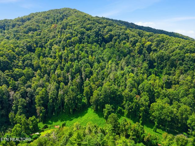 3910 Wilhite Rd, Sevierville, TN 37876