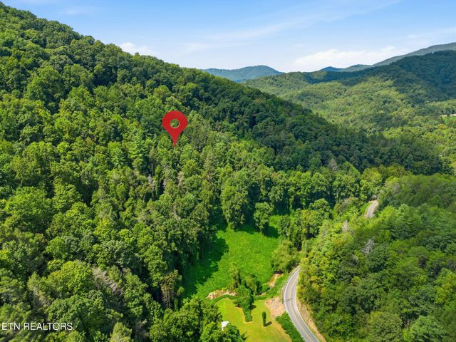 3910 Wilhite Rd, Sevierville, TN 37876