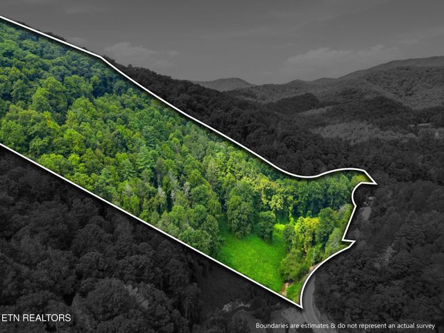 3910 Wilhite Rd, Sevierville, TN 37876