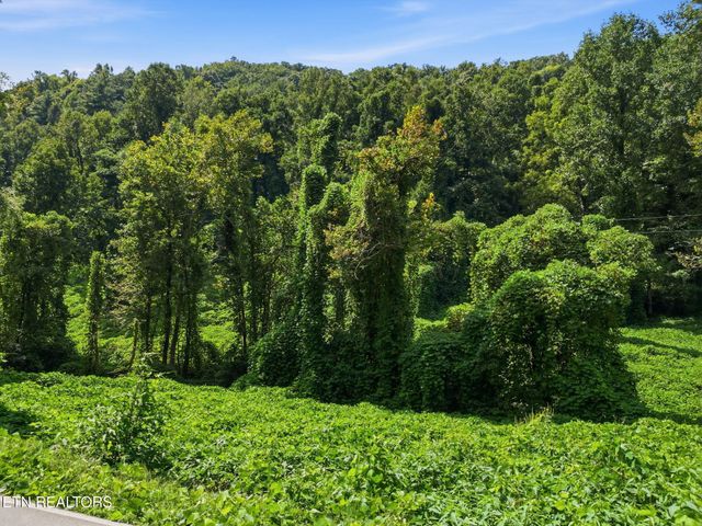 3910 Wilhite Rd, Sevierville, TN 37876