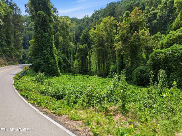3910 Wilhite Rd, Sevierville, TN 37876