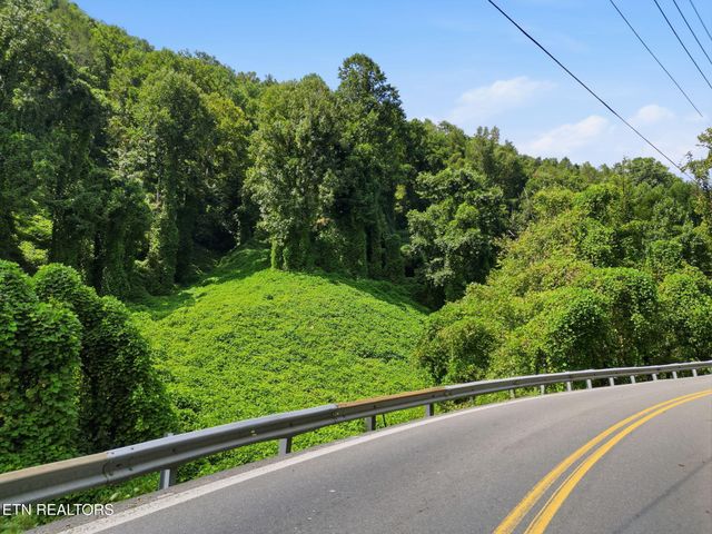 3910 Wilhite Rd, Sevierville, TN 37876