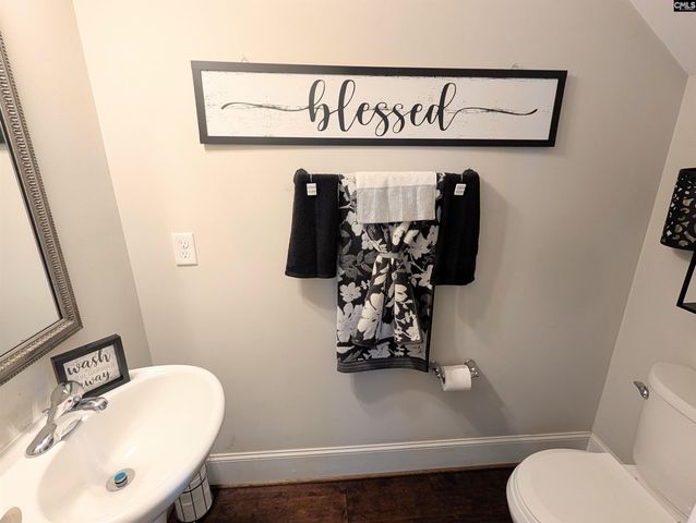 251 Meadow Saffron Drive, Lexington, SC 29073