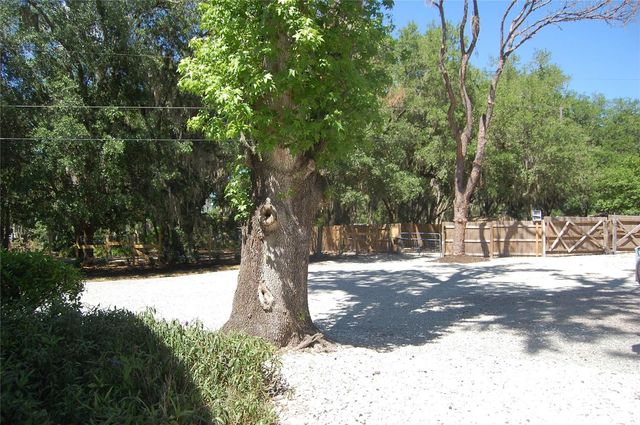 30230 PALM LANE, Wesley Chapel, FL 33545