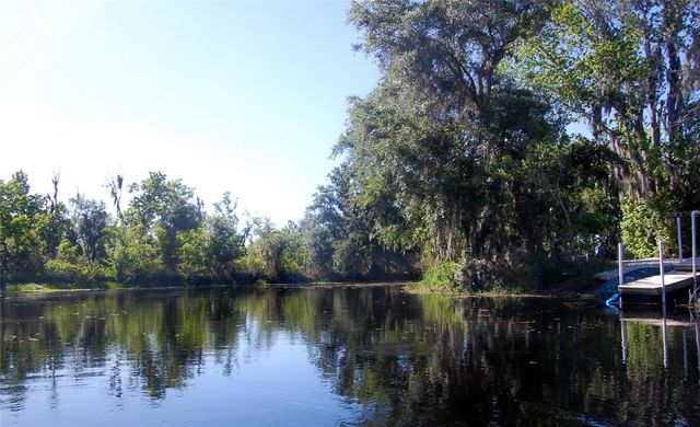 30230 PALM LANE, Wesley Chapel, FL 33545