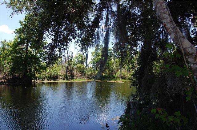 30230 PALM LANE, Wesley Chapel, FL 33545