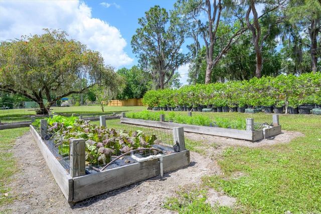 30230 PALM LANE, Wesley Chapel, FL 33545