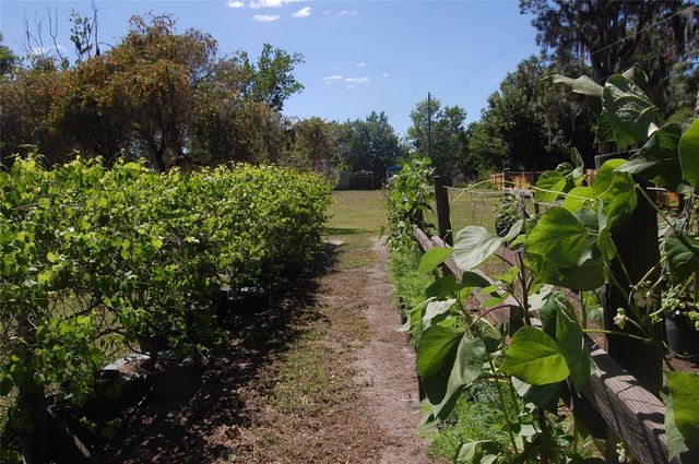 30230 PALM LANE, Wesley Chapel, FL 33545