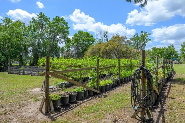 30230 PALM LANE, Wesley Chapel, FL 33545