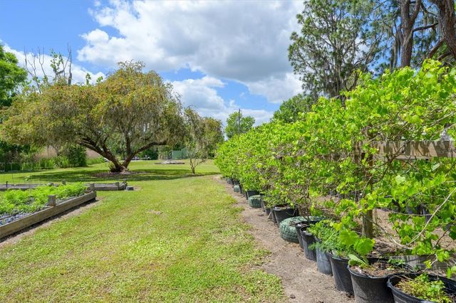 30230 PALM LANE, Wesley Chapel, FL 33545