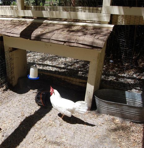 30230 PALM LANE, Wesley Chapel, FL 33545