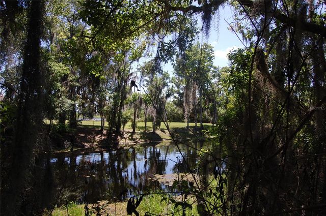 30230 PALM LANE, Wesley Chapel, FL 33545