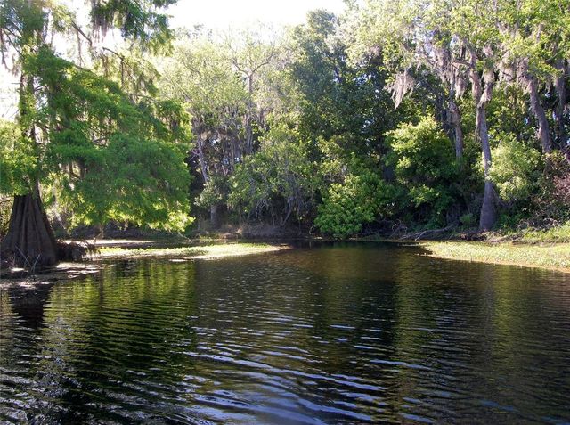 30230 PALM LANE, Wesley Chapel, FL 33545