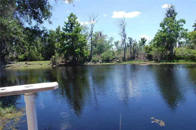 30230 PALM LANE, Wesley Chapel, FL 33545