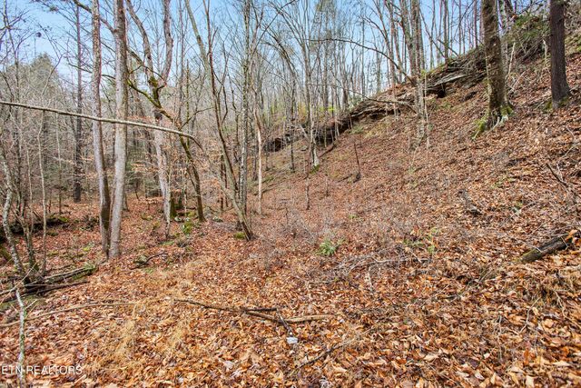 176 Pearly Ward Lane, Caryville, TN 37714