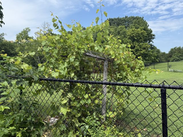 762 Waldron Rd, La Vergne, TN 37086