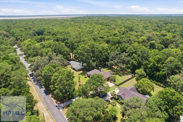1620 Belle Island Road, Richmond Hill, GA 31324