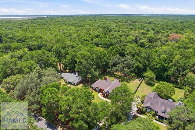 1620 Belle Island Road, Richmond Hill, GA 31324