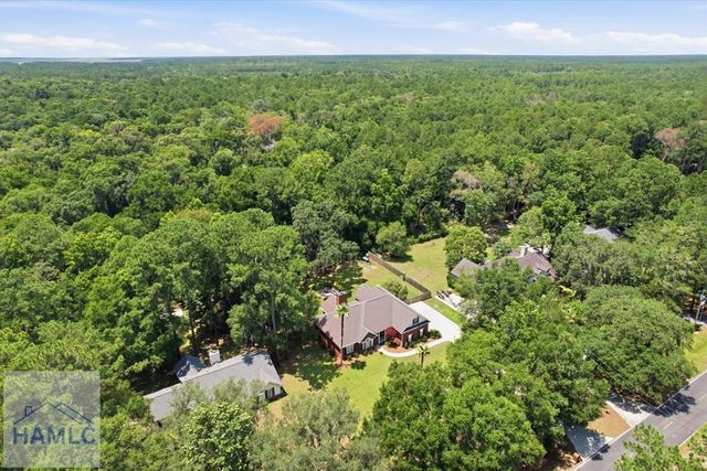 1620 Belle Island Road, Richmond Hill, GA 31324