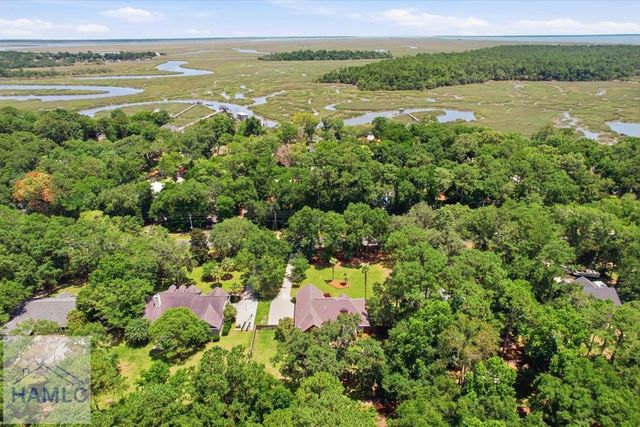 1620 Belle Island Road, Richmond Hill, GA 31324