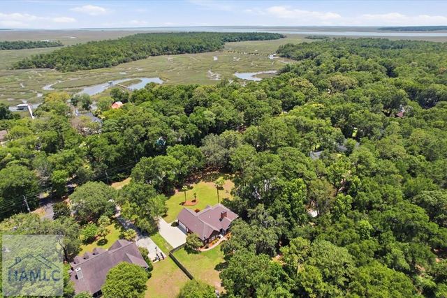 1620 Belle Island Road, Richmond Hill, GA 31324