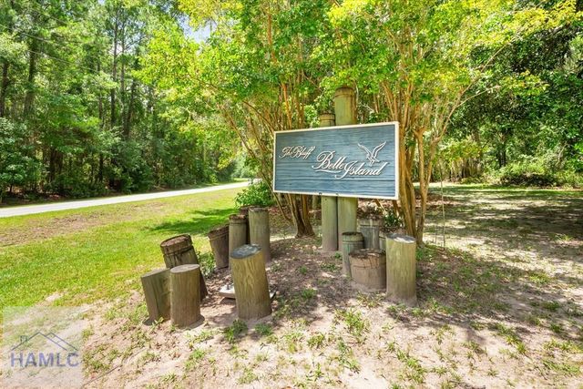 1620 Belle Island Road, Richmond Hill, GA 31324