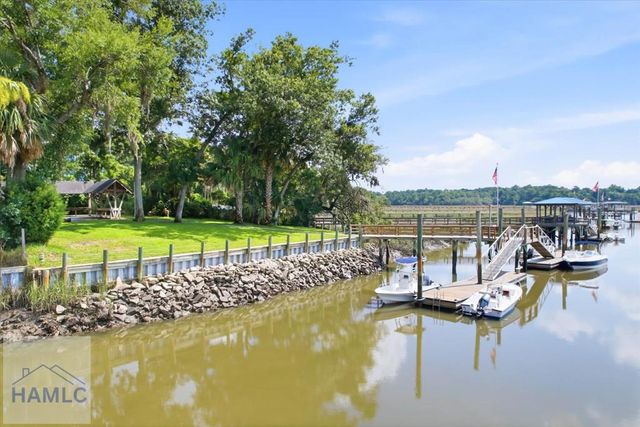 1620 Belle Island Road, Richmond Hill, GA 31324