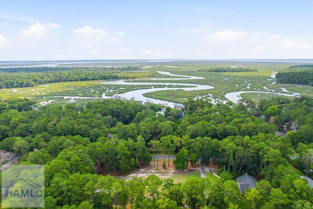 1620 Belle Island Road, Richmond Hill, GA 31324