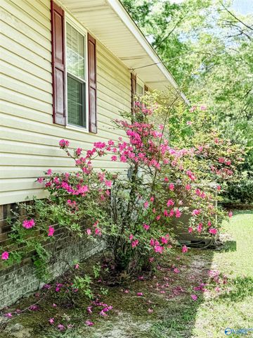 520 Diversey Street, Rainbow City, AL 35906