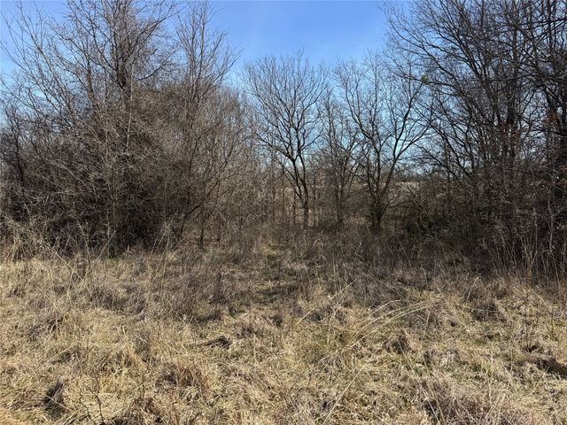 Lot 14 County Road 1346, Chico, TX 76431