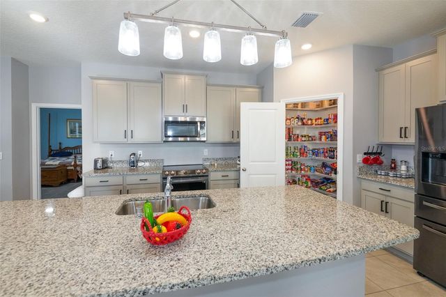 3507 AUTUMN AMBER DRIVE, Spring Hill, FL 34609