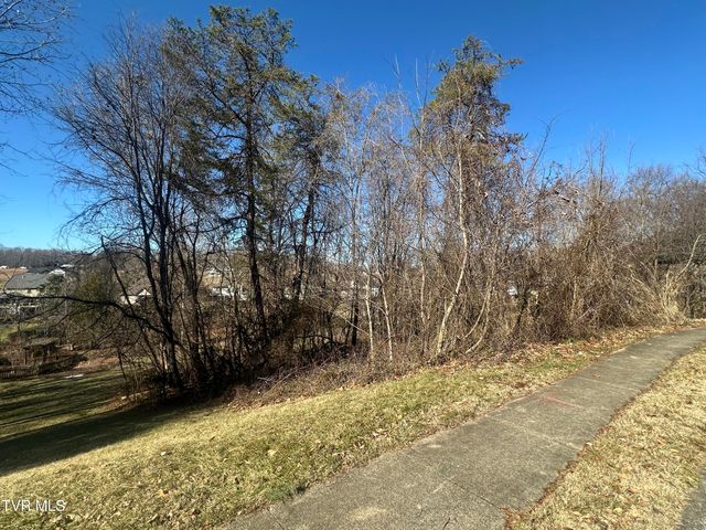 123 Vicksburg Road, Johnson City, TN 37604