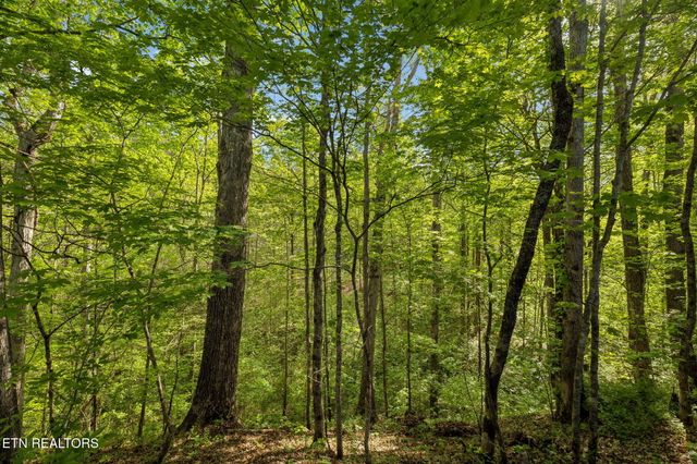 1351 Mortar Rd, Sevierville, TN 37876