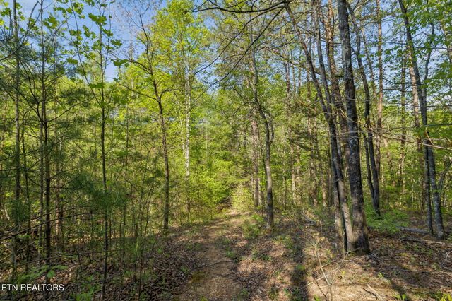 1351 Mortar Rd, Sevierville, TN 37876