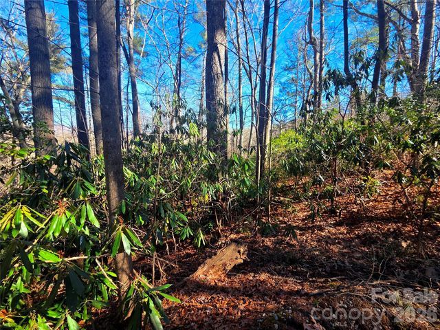 115 Fragrant Pine Drive 105, Waynesville, NC 28785