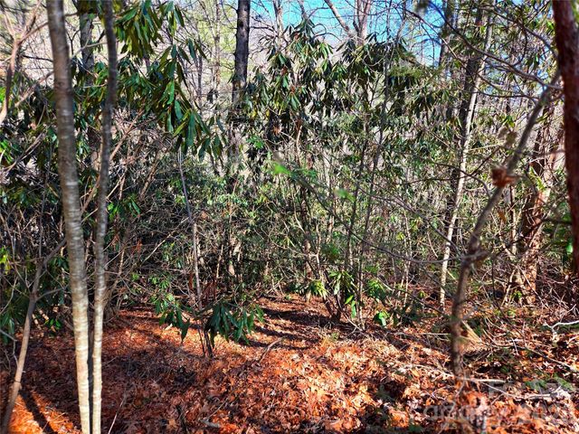 115 Fragrant Pine Drive 105, Waynesville, NC 28785