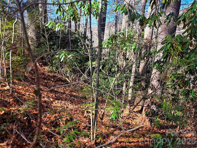 115 Fragrant Pine Drive 105, Waynesville, NC 28785