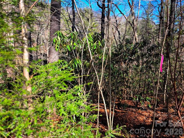 115 Fragrant Pine Drive 105, Waynesville, NC 28785