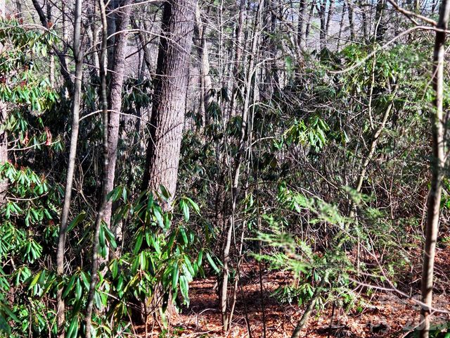 115 Fragrant Pine Drive 105, Waynesville, NC 28785