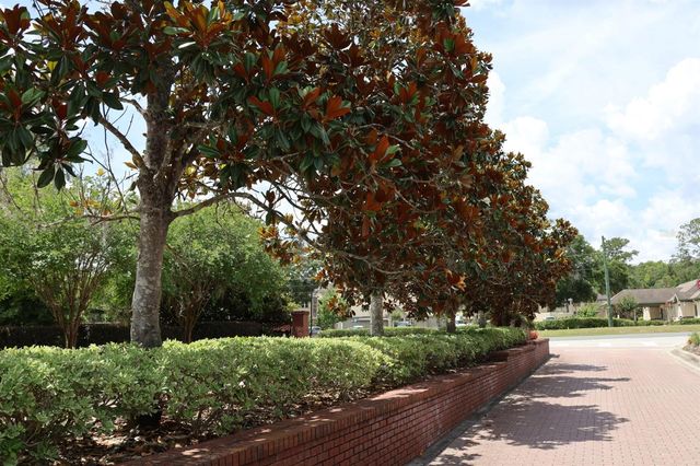 2019 SE 29TH STREET, Ocala, FL 34471