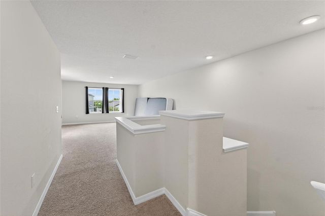 13519 PALMERA VISTA DRIVE, Riverview, FL 33579
