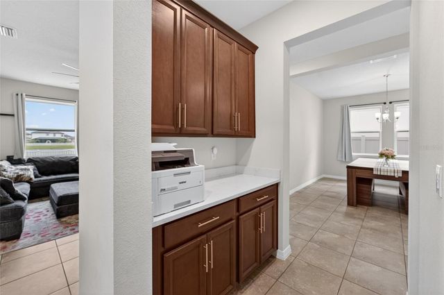 13519 PALMERA VISTA DRIVE, Riverview, FL 33579