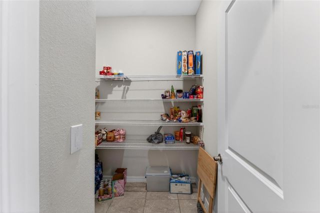 13519 PALMERA VISTA DRIVE, Riverview, FL 33579